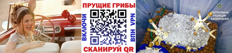 Псилоцибиновые грибы ЛСД  Купить  Анадырь 